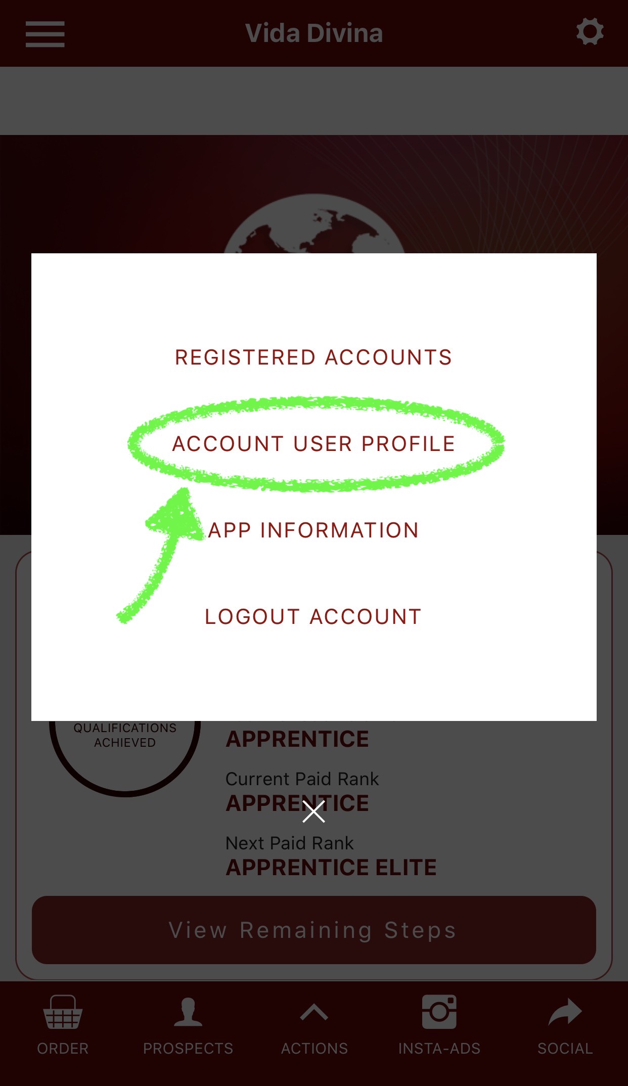 How to update your language preference in Office Power + App – Vida Divina